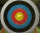 Max Arrow Archery