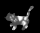 Time4MoreCat