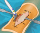 Virtual Knee Surgery
