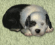 Virtual Puppy