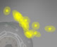 Phage Wars 2