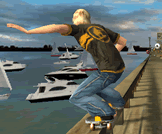 Stunt Skateboard 3D