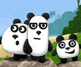 3 Pandas