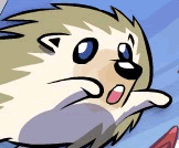 Porcupine Pop